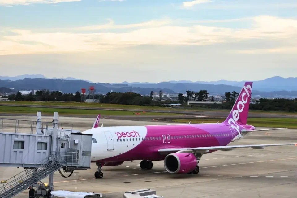 ピーチ国内線の機内持ち込み手荷物ルール