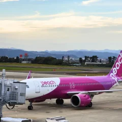 【プロが簡単解説】ピーチの機内持ち込み、受託（預け）手荷物について