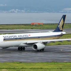 シンガポール航空機内持ち込み・預け手荷物の規定について | わかりやすく解説