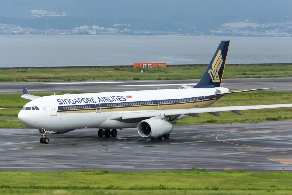 シンガポール航空の機内持ち込み手荷物、受諾手荷物規定