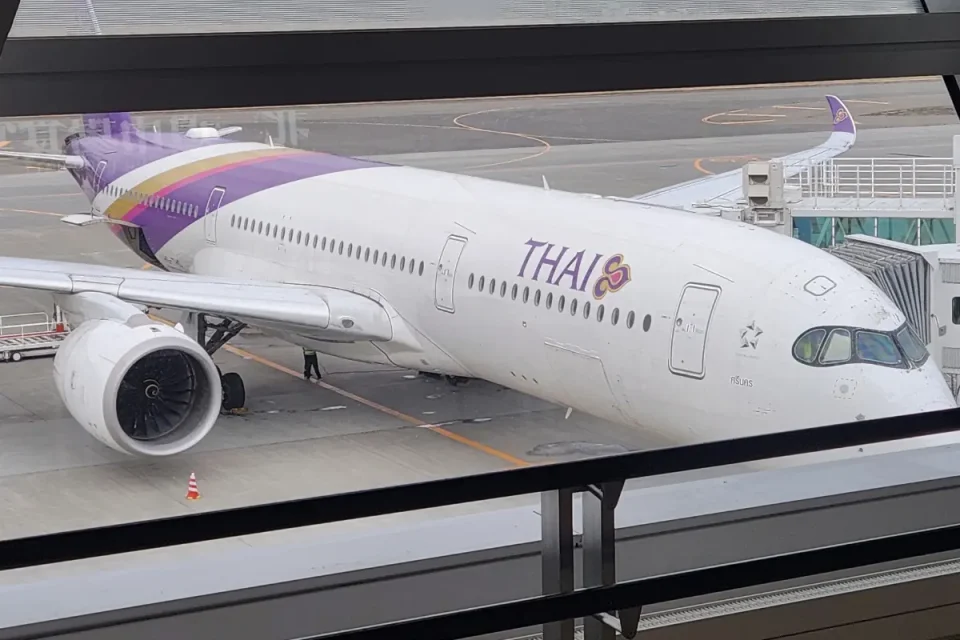 タイ国際航空の機内持ち込み手荷物、受諾手荷物の規定