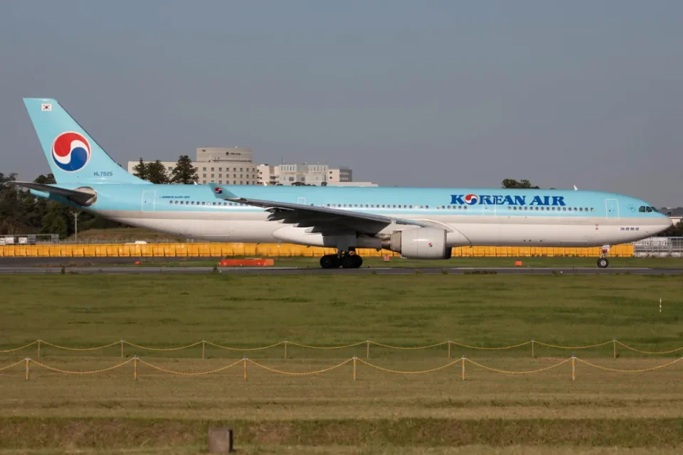 大韓航空の機内持ち込み・預け荷物規定について解説