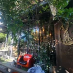 バンコク・バーンガジャオのカフェ「The Rabbit」