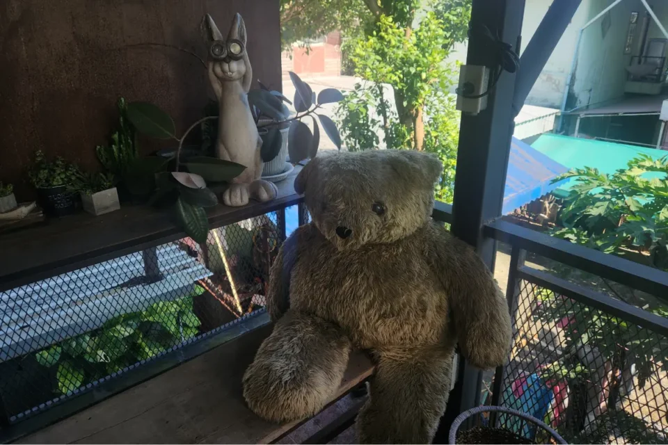 バンコク・バーンガジャオにある超おすすめのカフェ「The Rabbit」