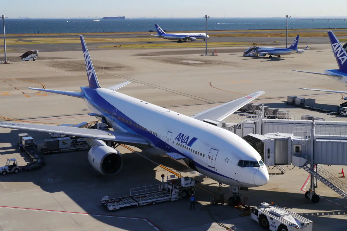 ANAの機内持ち込み・受託手荷物（預け荷物）規定について解説