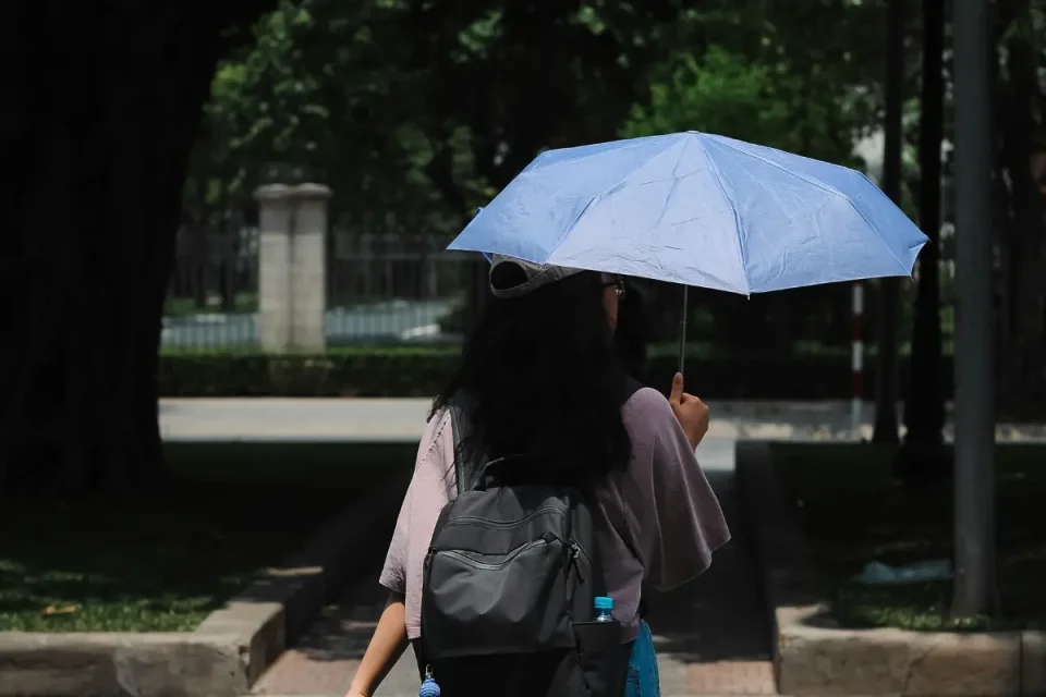 折りたたみ傘の機内持ち込みは可能？