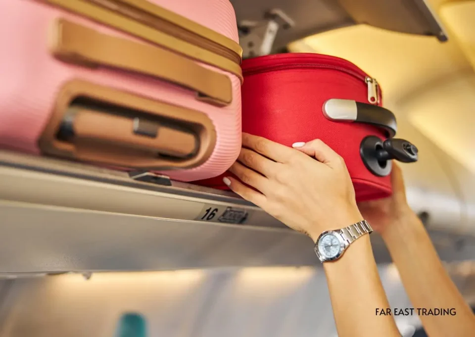 JALの機内持ち込み手荷物に関する規定